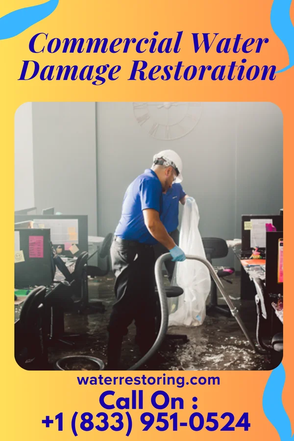 Commercial Water Damage Restoration in Magnolia, DE