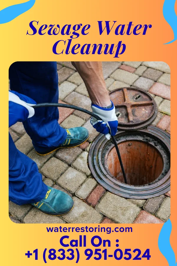 Sewage Water Cleanup in Magnolia, DE