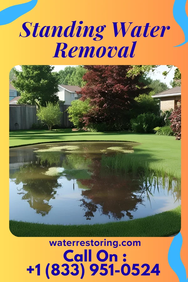 Standing Water Removal in Magnolia, DE